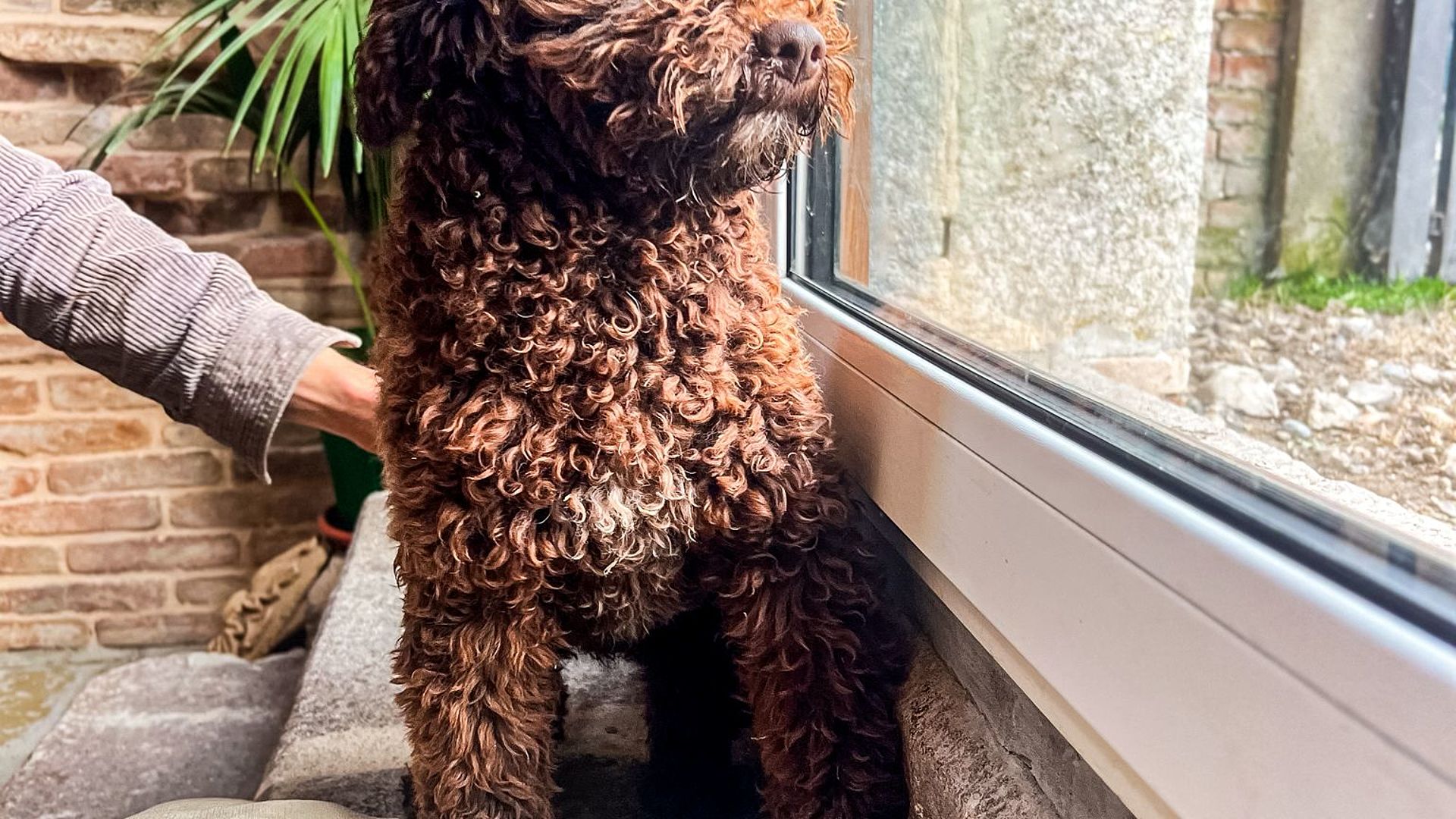 [Translate to Deutsch:] 