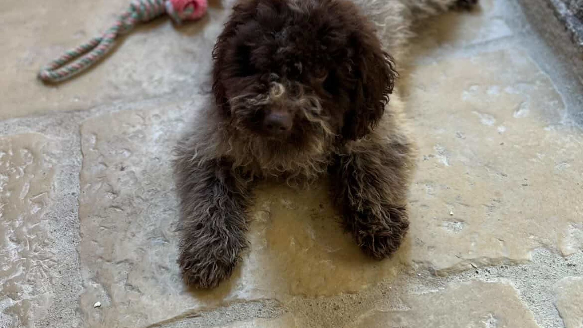 [Translate to English:] 