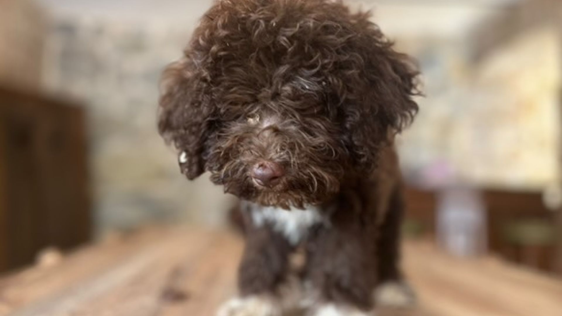 [Translate to English:] 