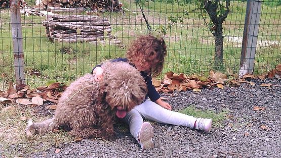 lagotto non perde pelo