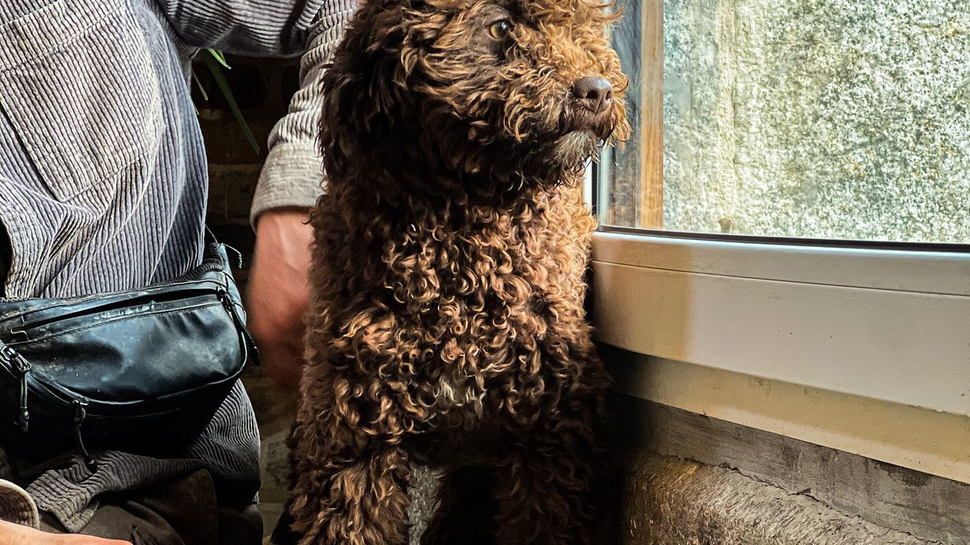 [Translate to Deutsch:] 