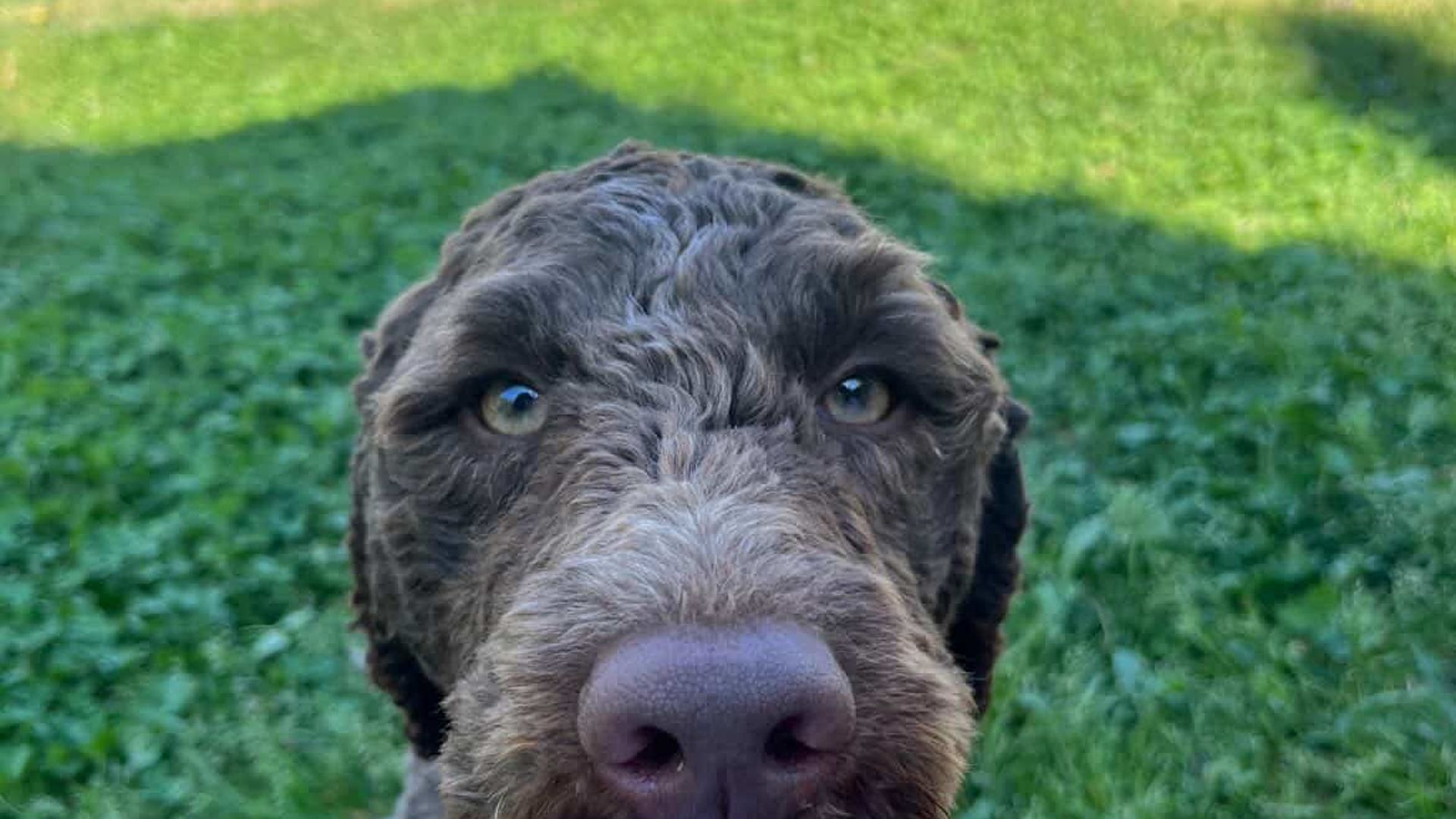 [Translate to English:] 