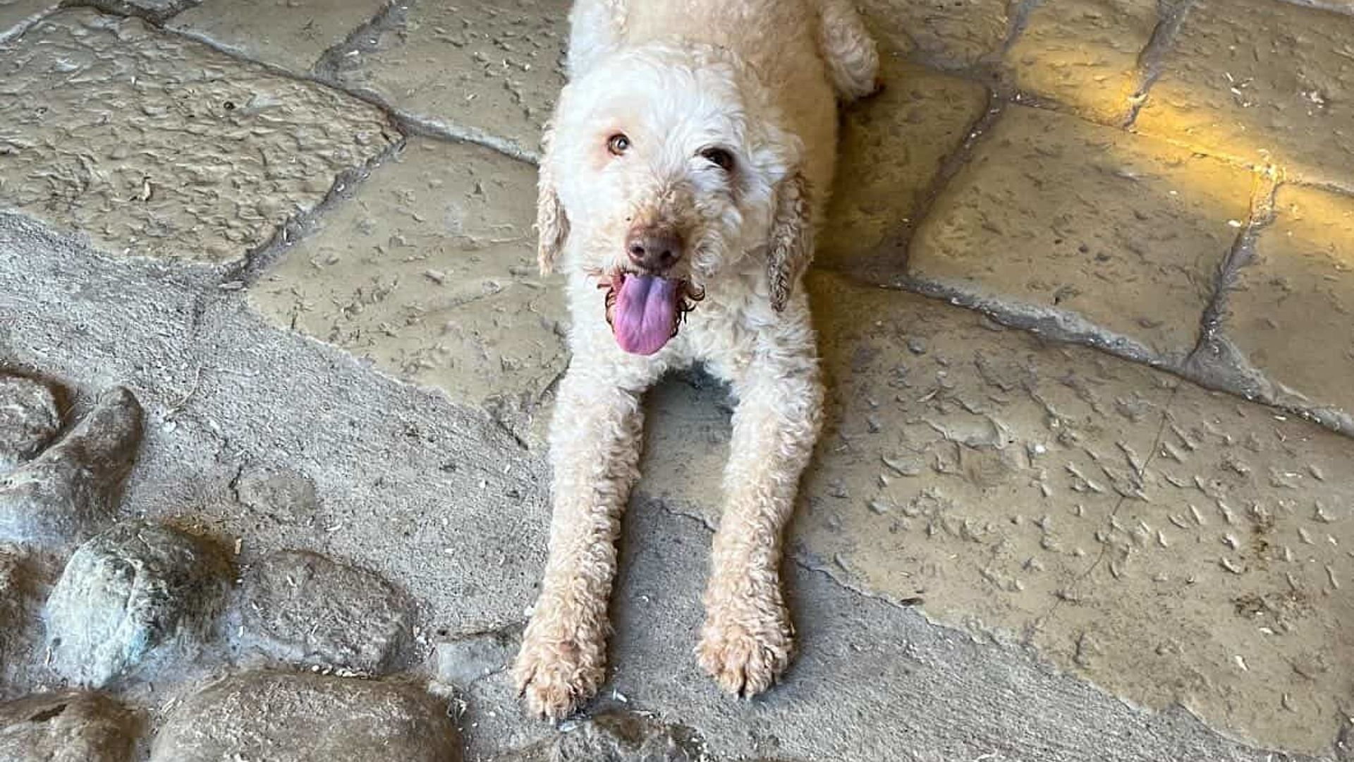 [Translate to English:] 