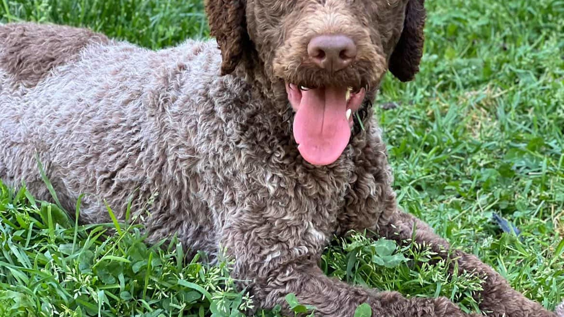 [Translate to English:] 