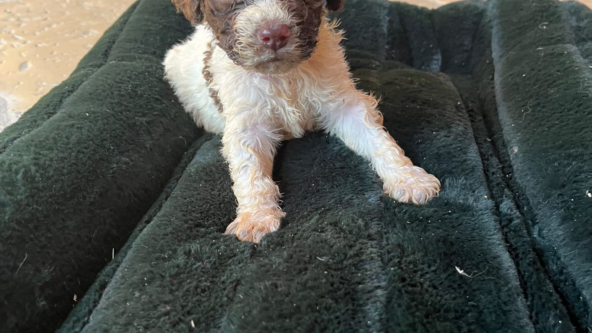 [Translate to English:] 