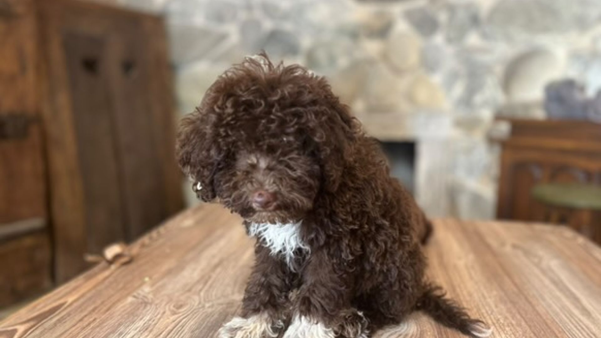 [Translate to English:] 