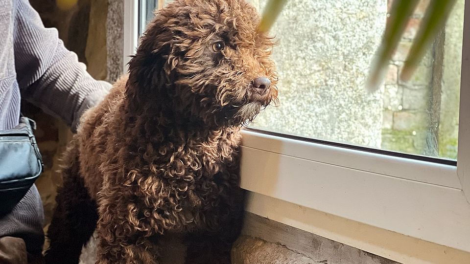 [Translate to Deutsch:] 