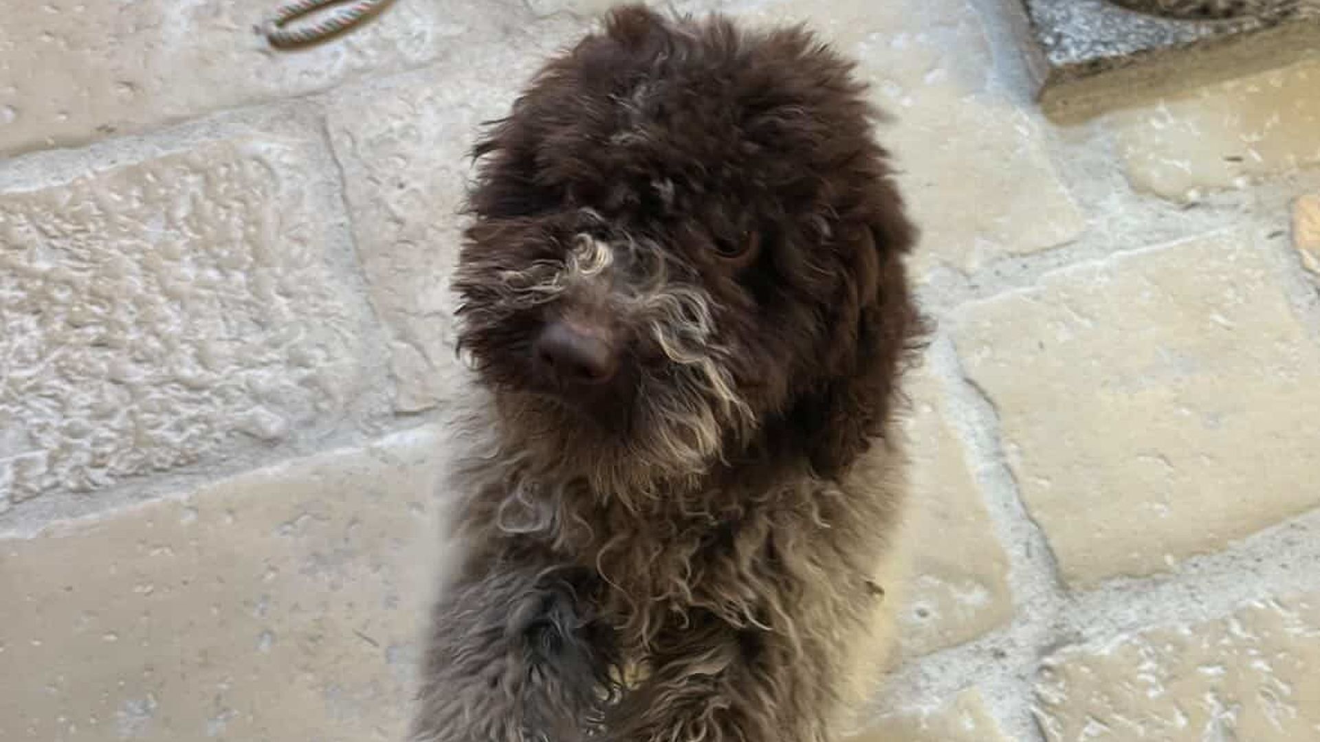 [Translate to English:] 