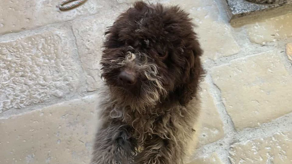 [Translate to English:] 