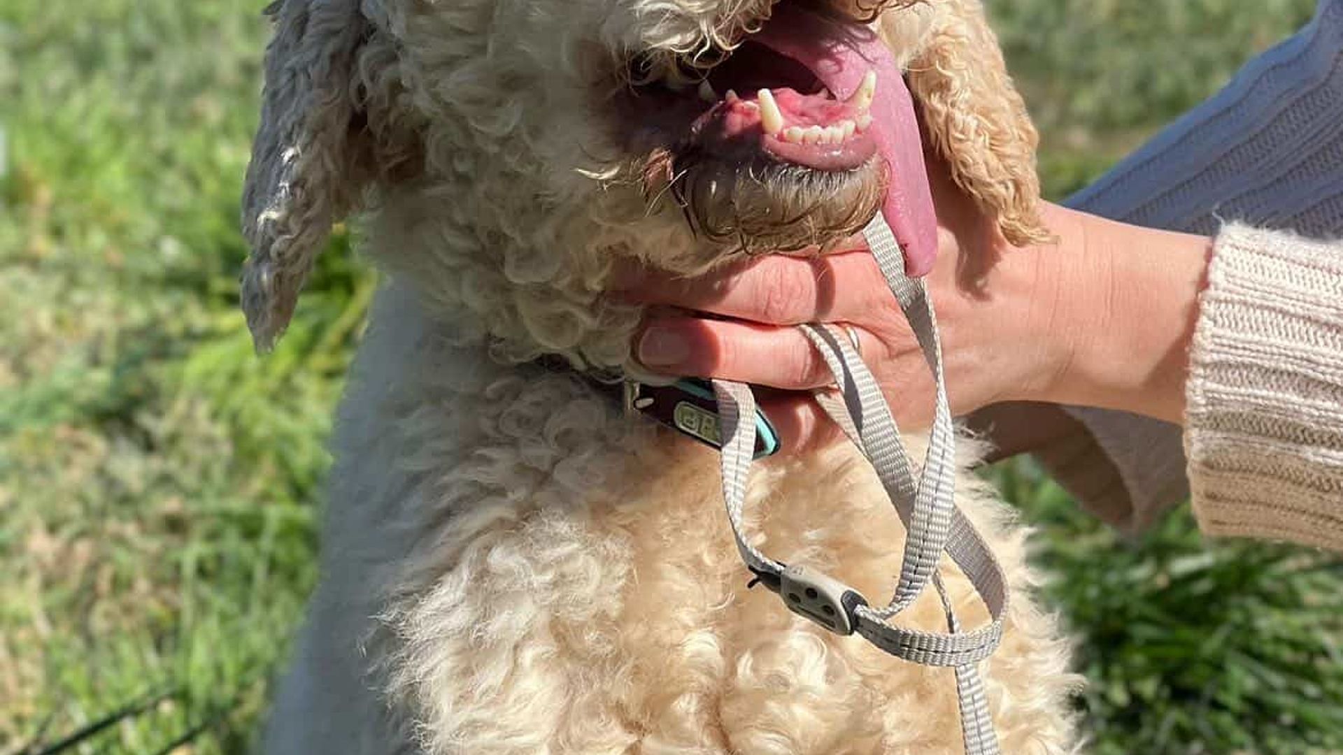 [Translate to English:] 