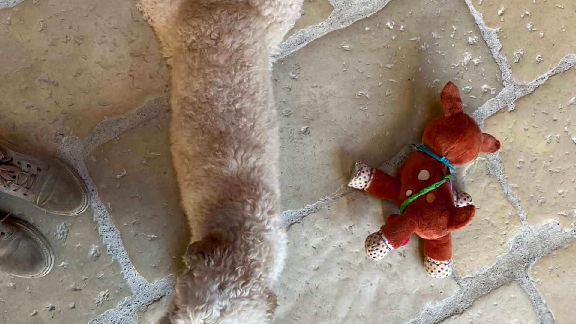 [Translate to English:] 