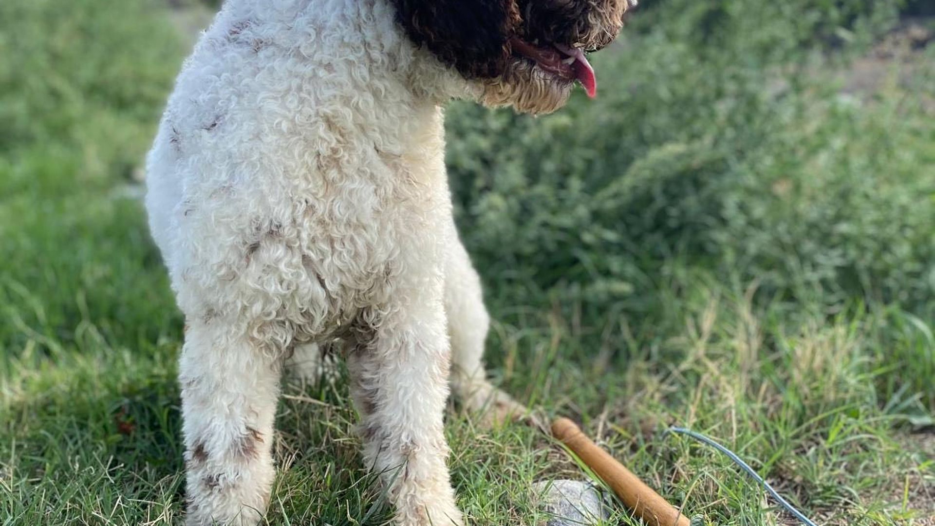 [Translate to Deutsch:] 