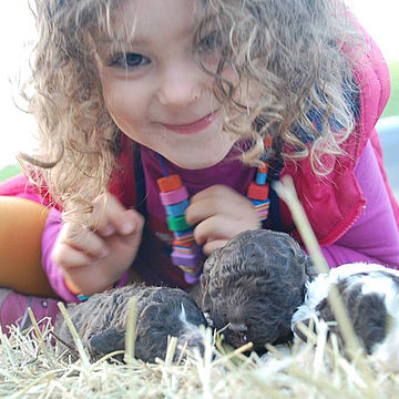 lagotto e bambini, la storia infinita