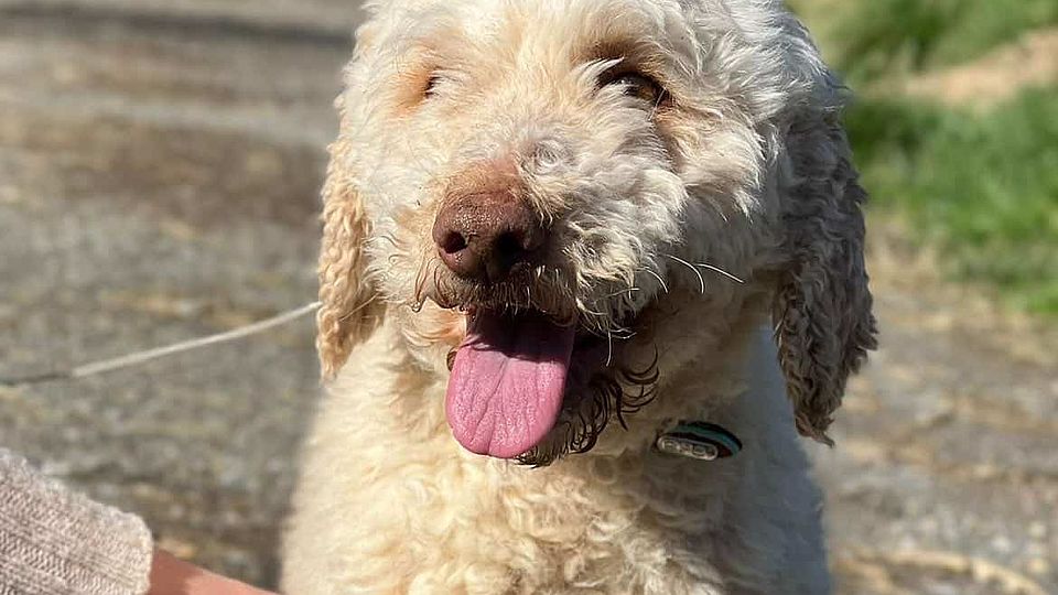 [Translate to English:] 