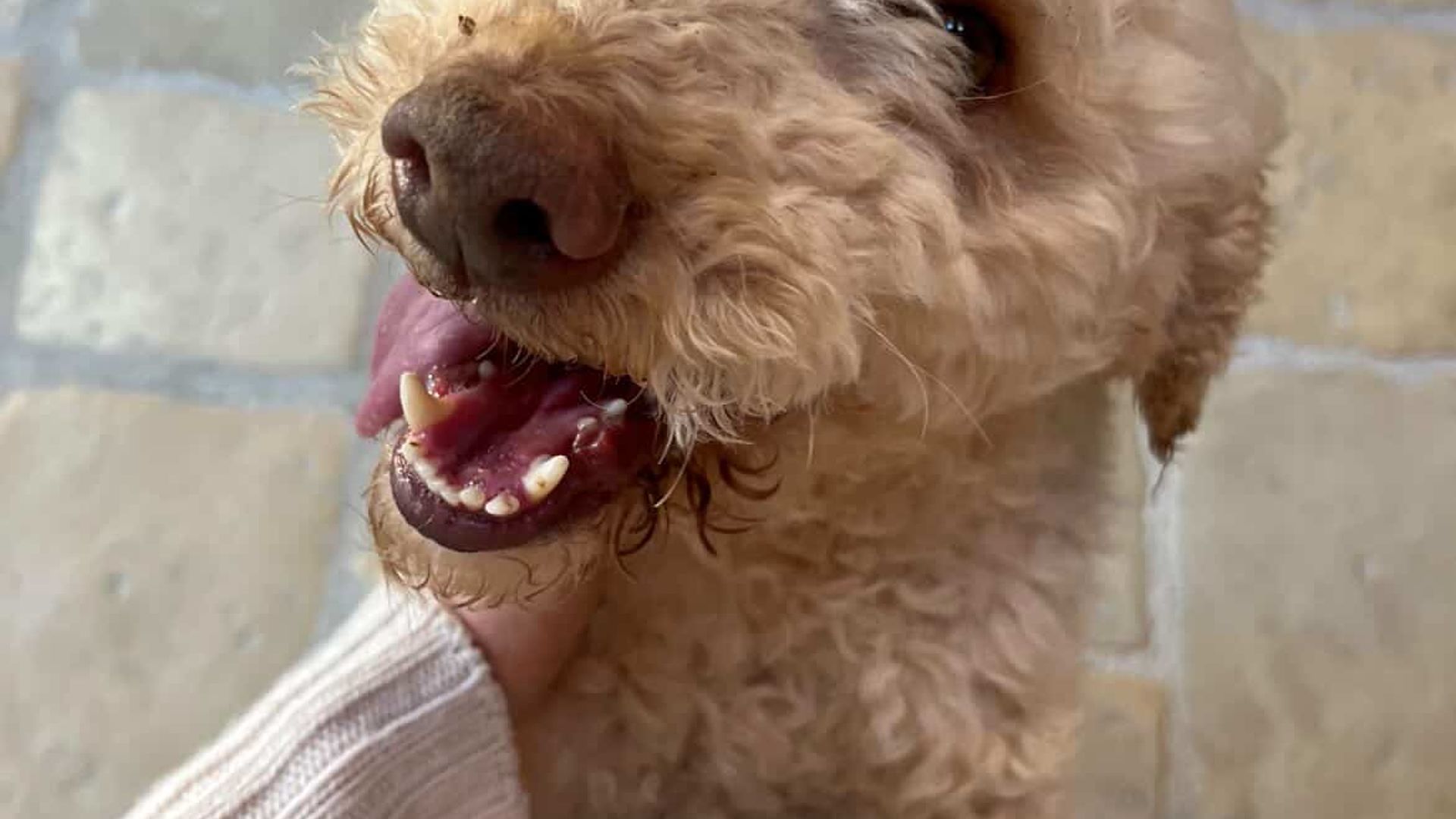 [Translate to English:] 