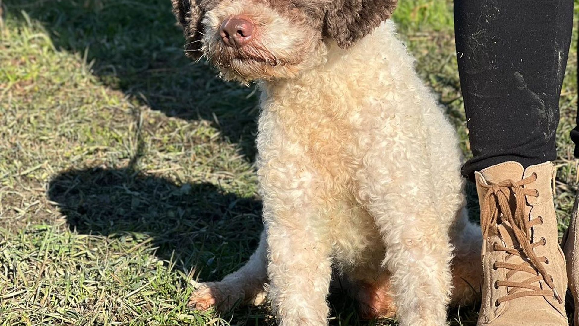 [Translate to Deutsch:] 