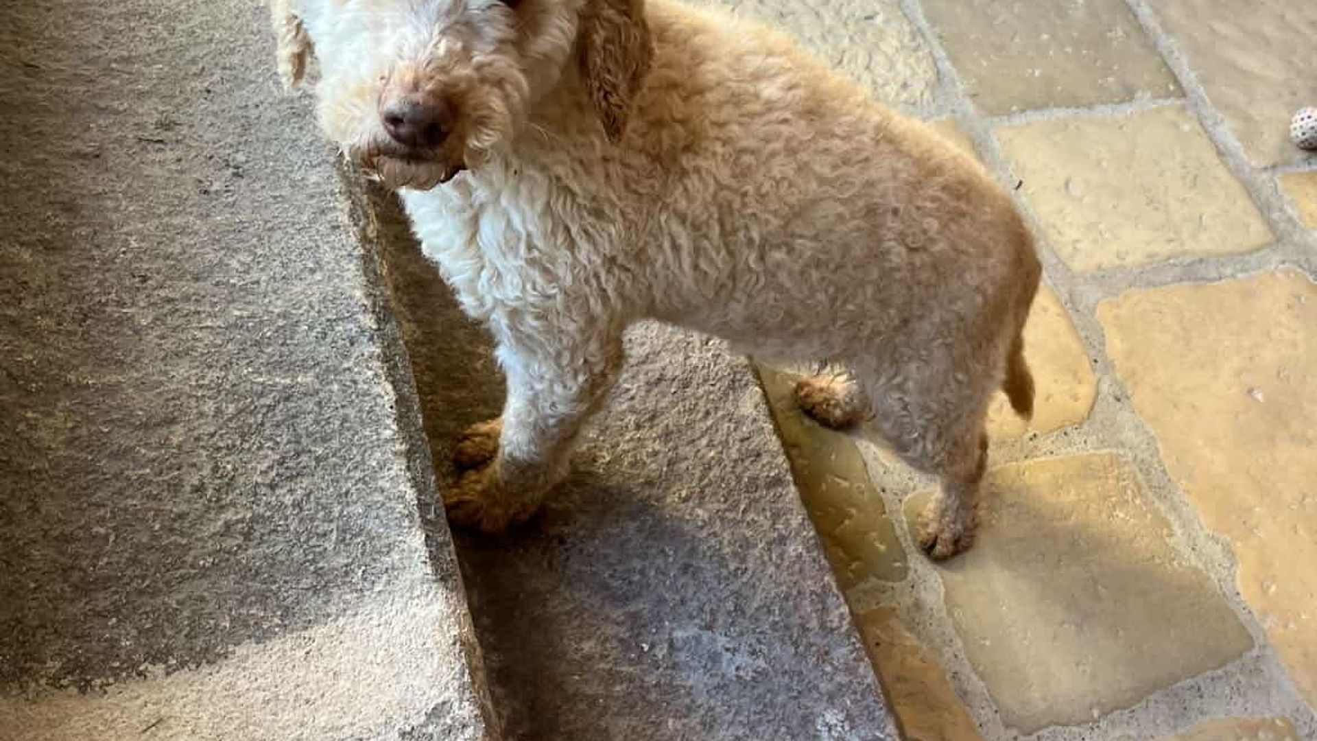 [Translate to English:] 