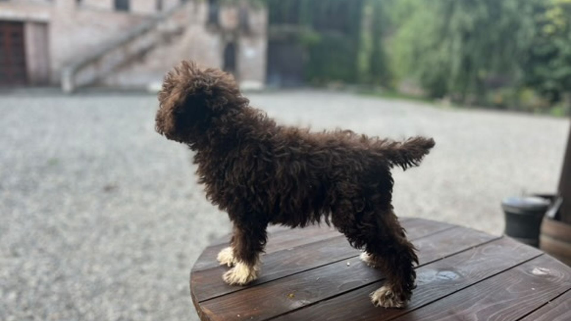 [Translate to English:] 