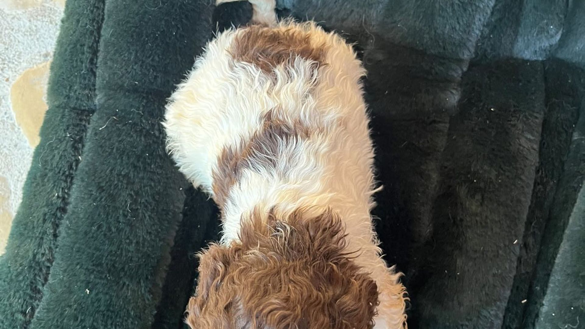 [Translate to English:] 