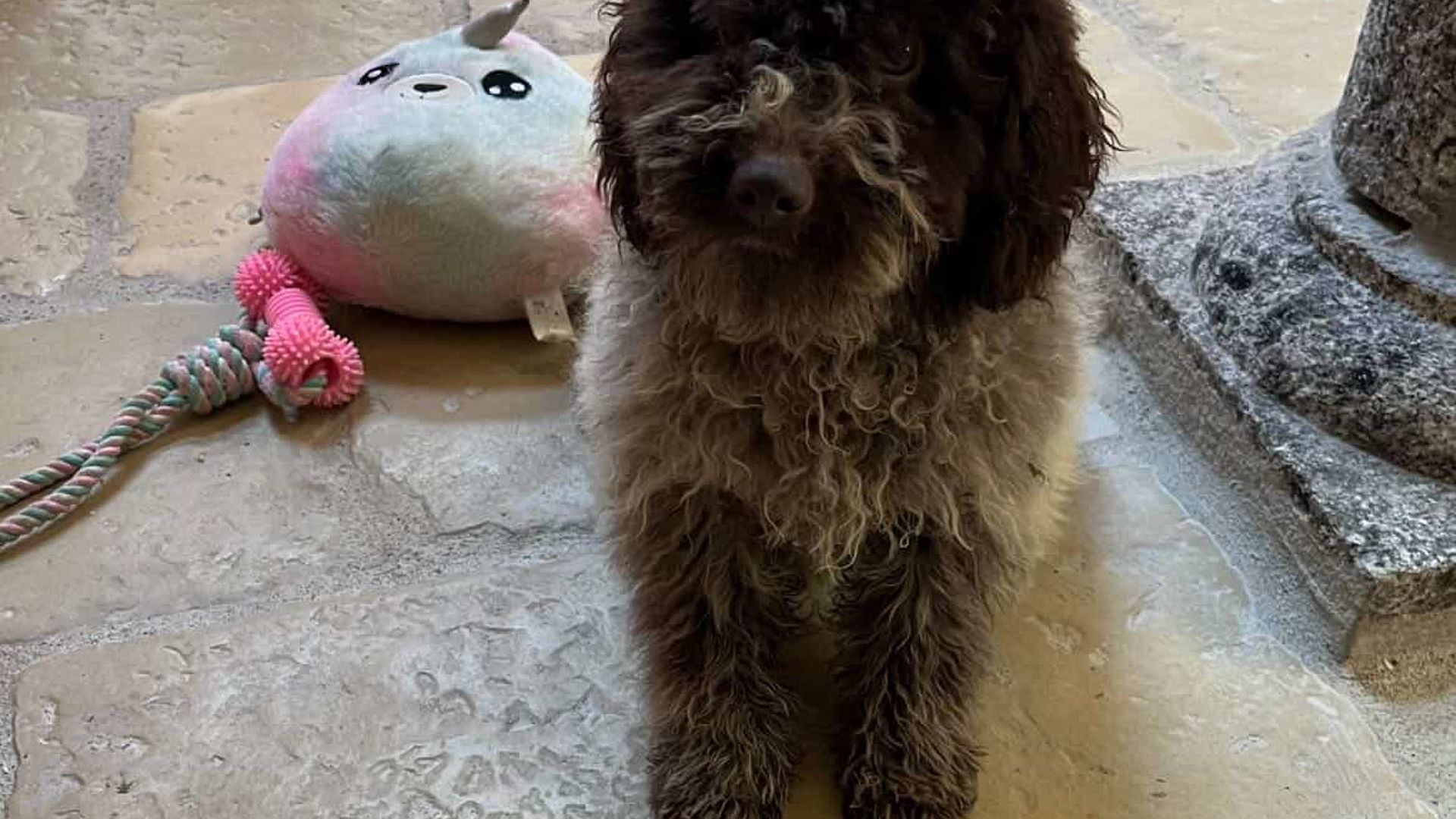 [Translate to English:] 