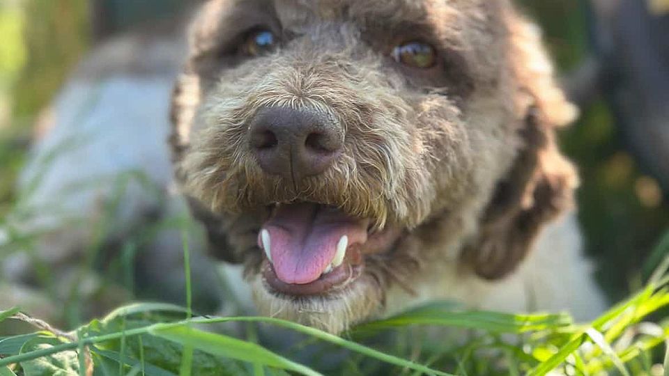 [Translate to Deutsch:] 