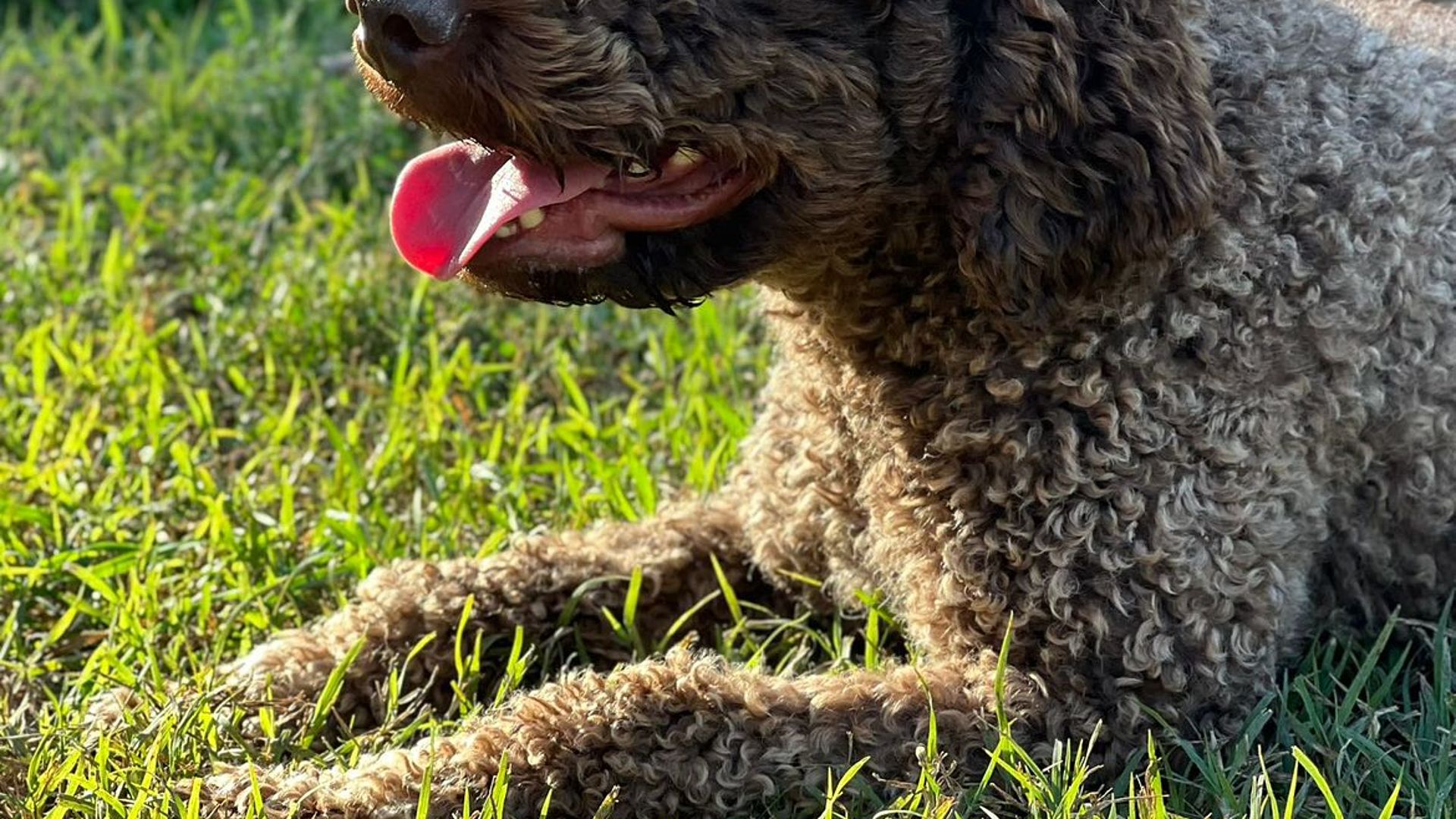 [Translate to English:] 