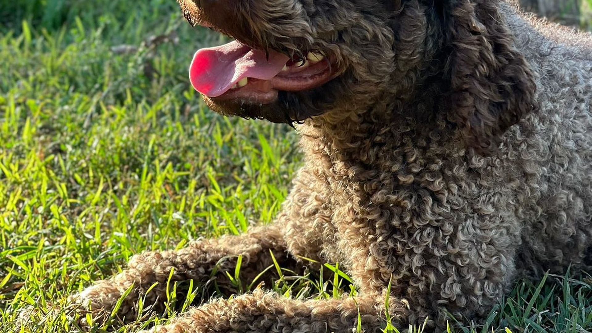 [Translate to English:] 