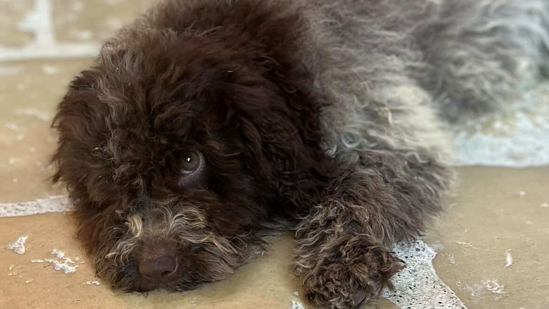 [Translate to English:] 