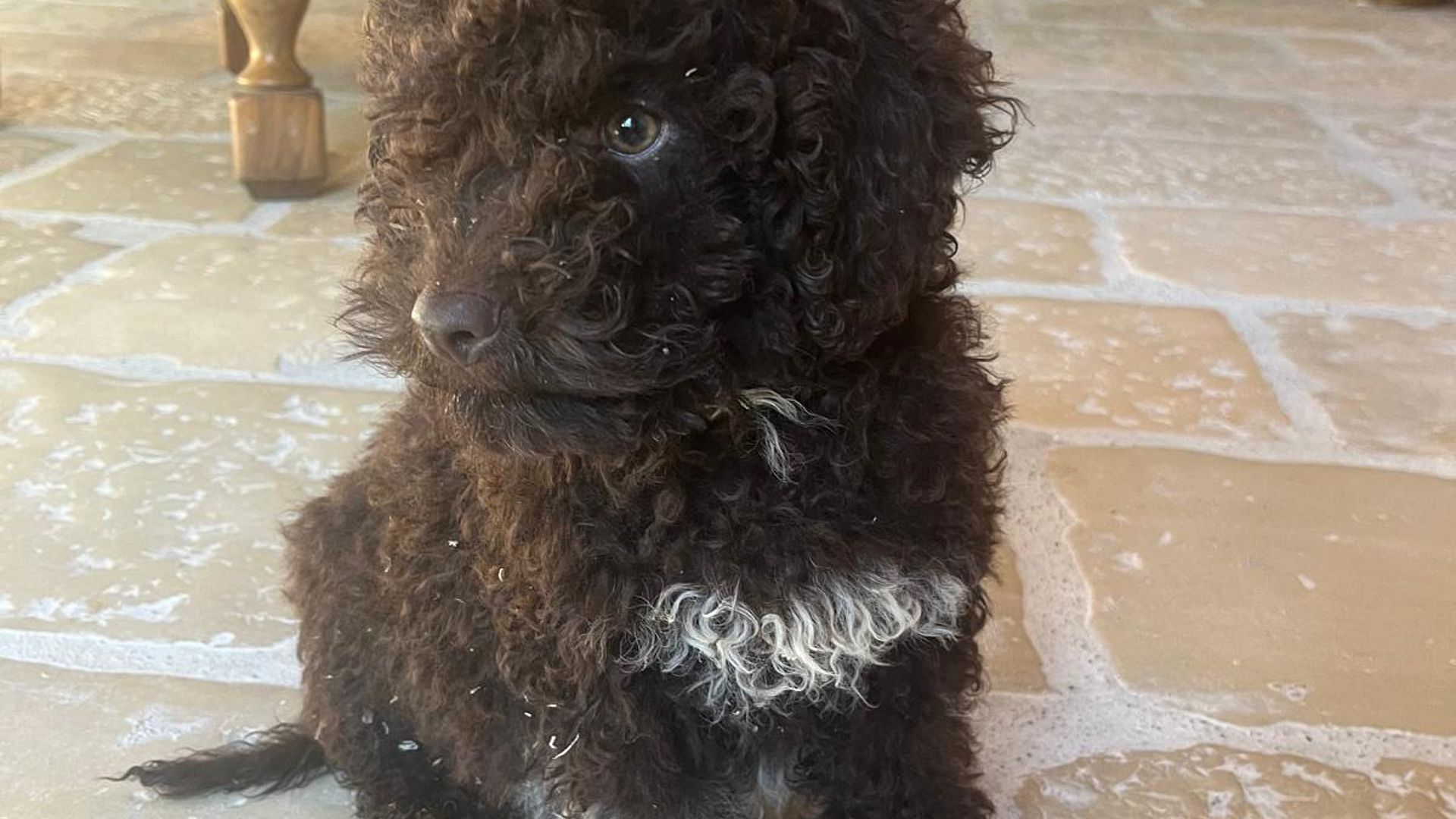 [Translate to English:] 