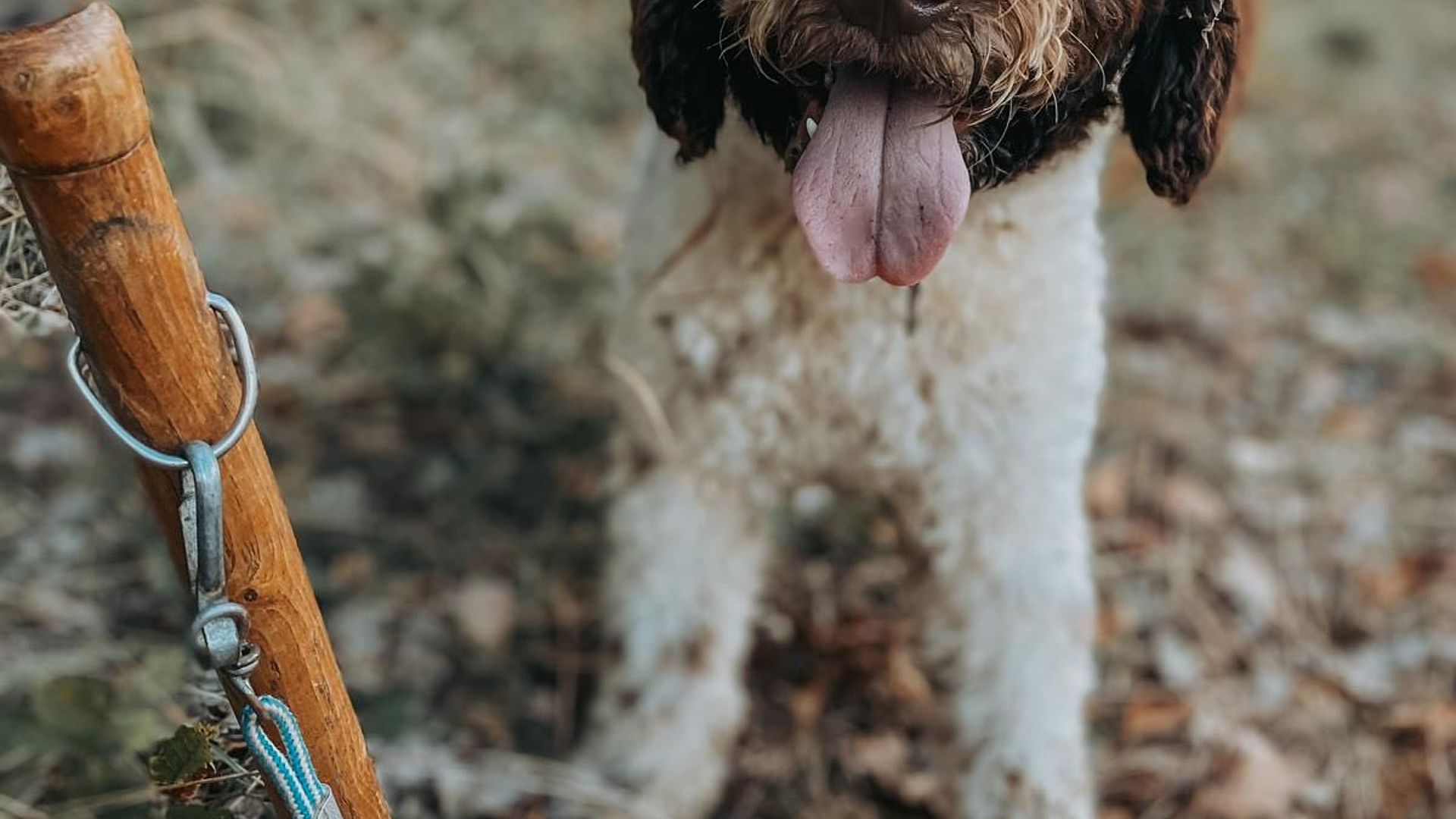 [Translate to Deutsch:] 