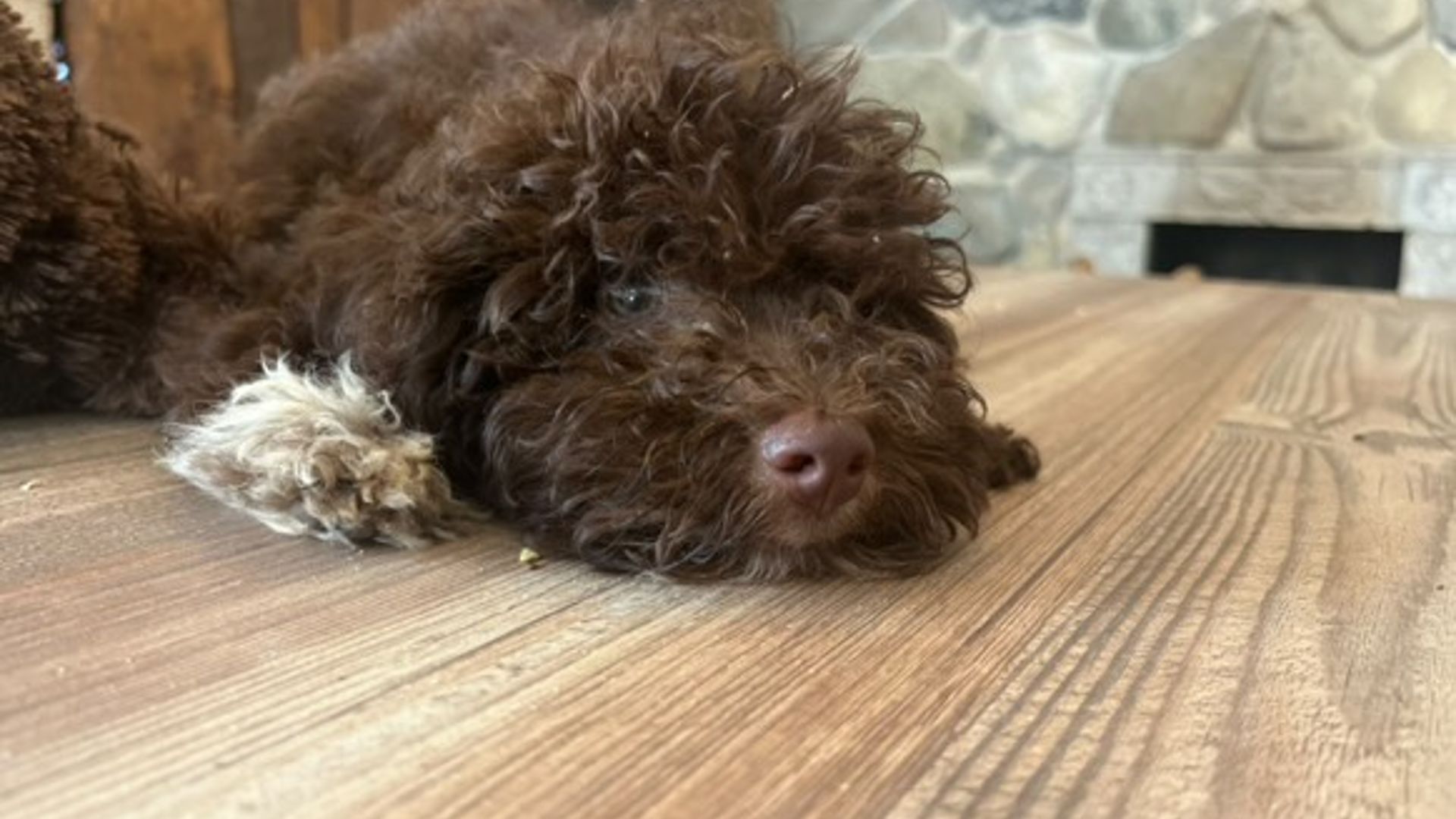 [Translate to English:] 