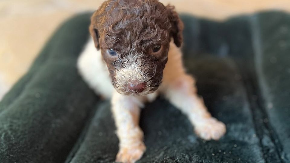 [Translate to English:] 