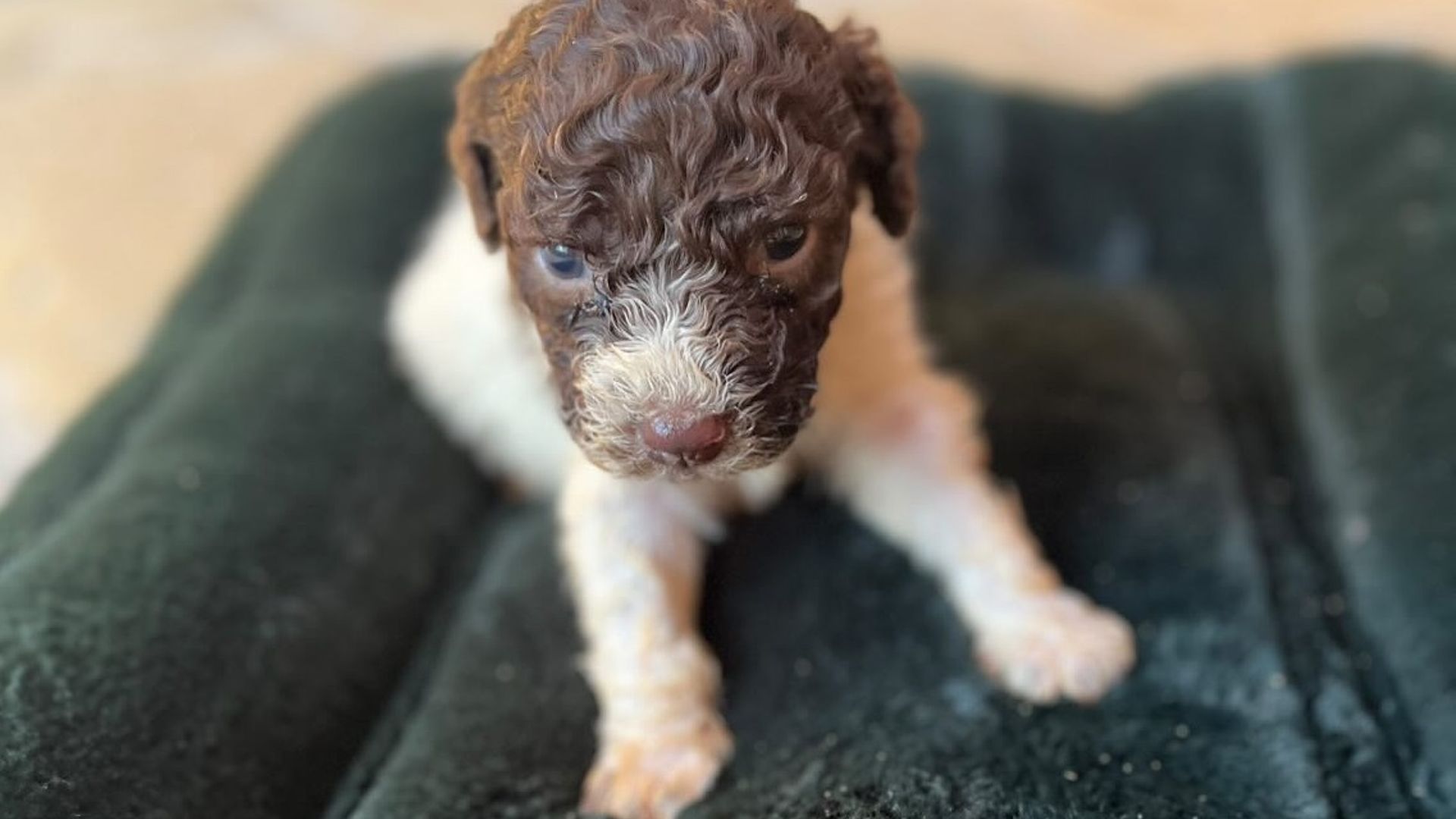 [Translate to English:] 