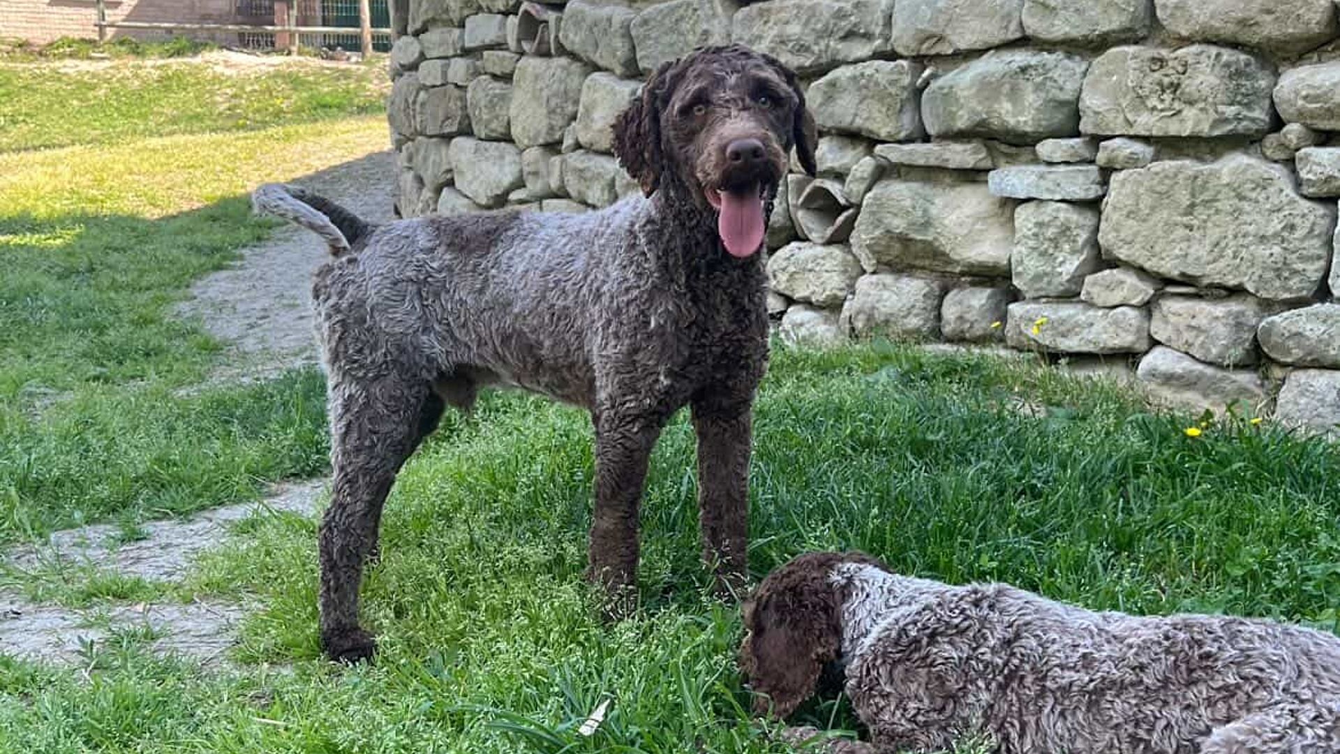 [Translate to English:] 