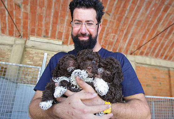 cuccioli Lagotto Romagnolo marrone nell’allevamento Cacao Meravigliao 