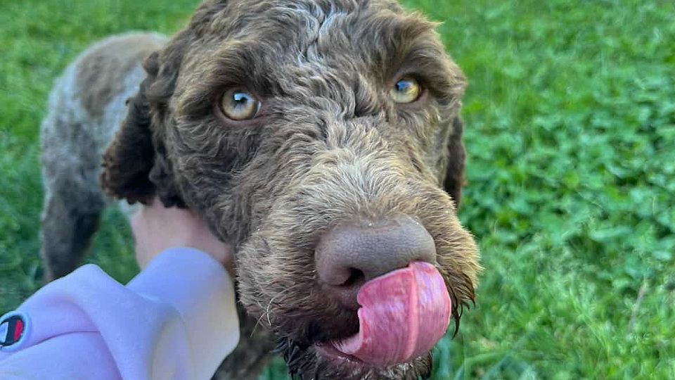 [Translate to English:] 