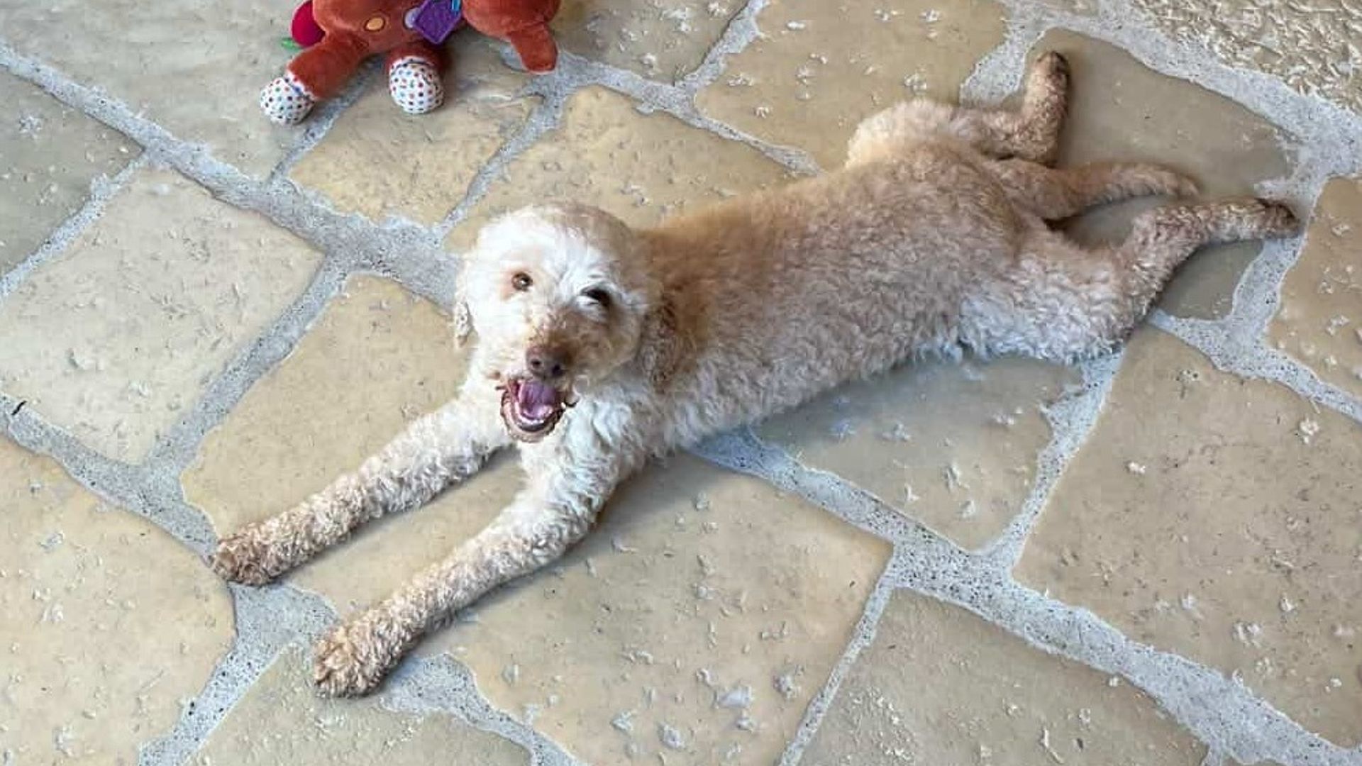 [Translate to English:] 