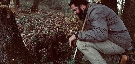 lagotto cerca tartufo