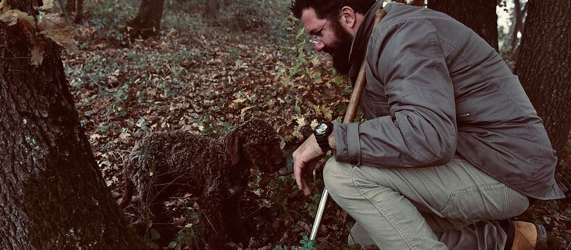 lagotto cerca tartufo