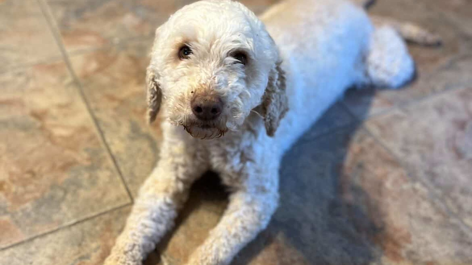 [Translate to English:] 