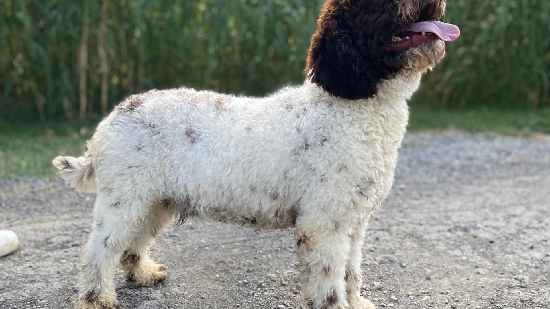 [Translate to Deutsch:] 