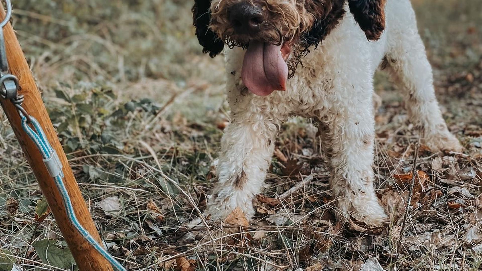 [Translate to Deutsch:] 