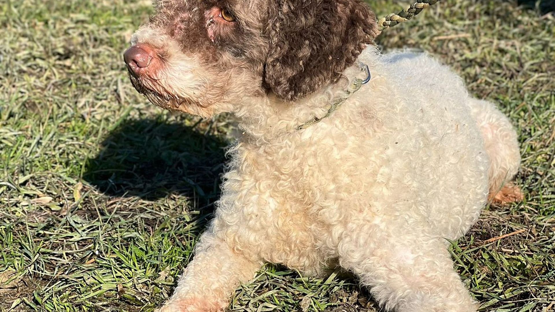 [Translate to Deutsch:] 