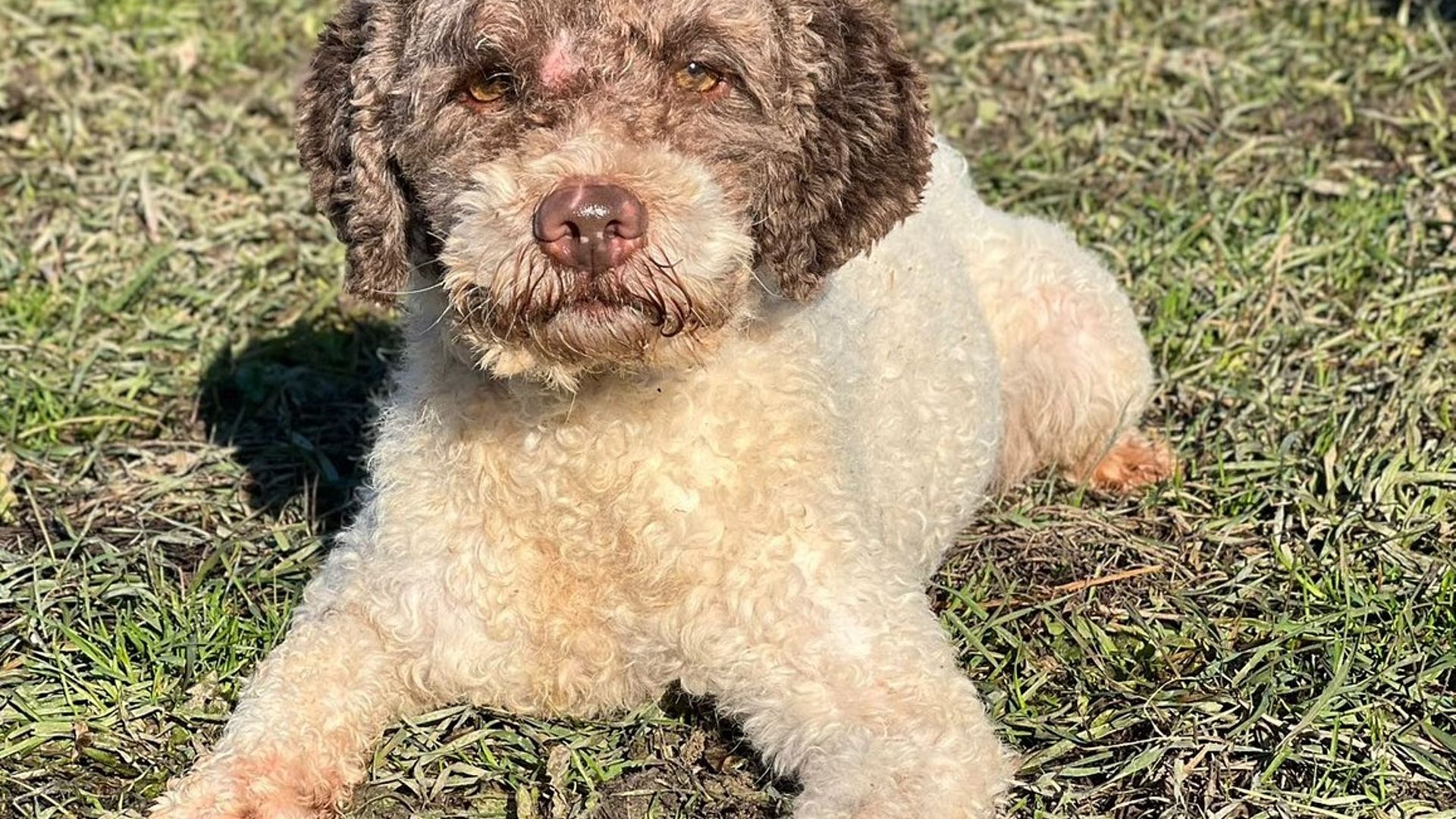 [Translate to Deutsch:] 