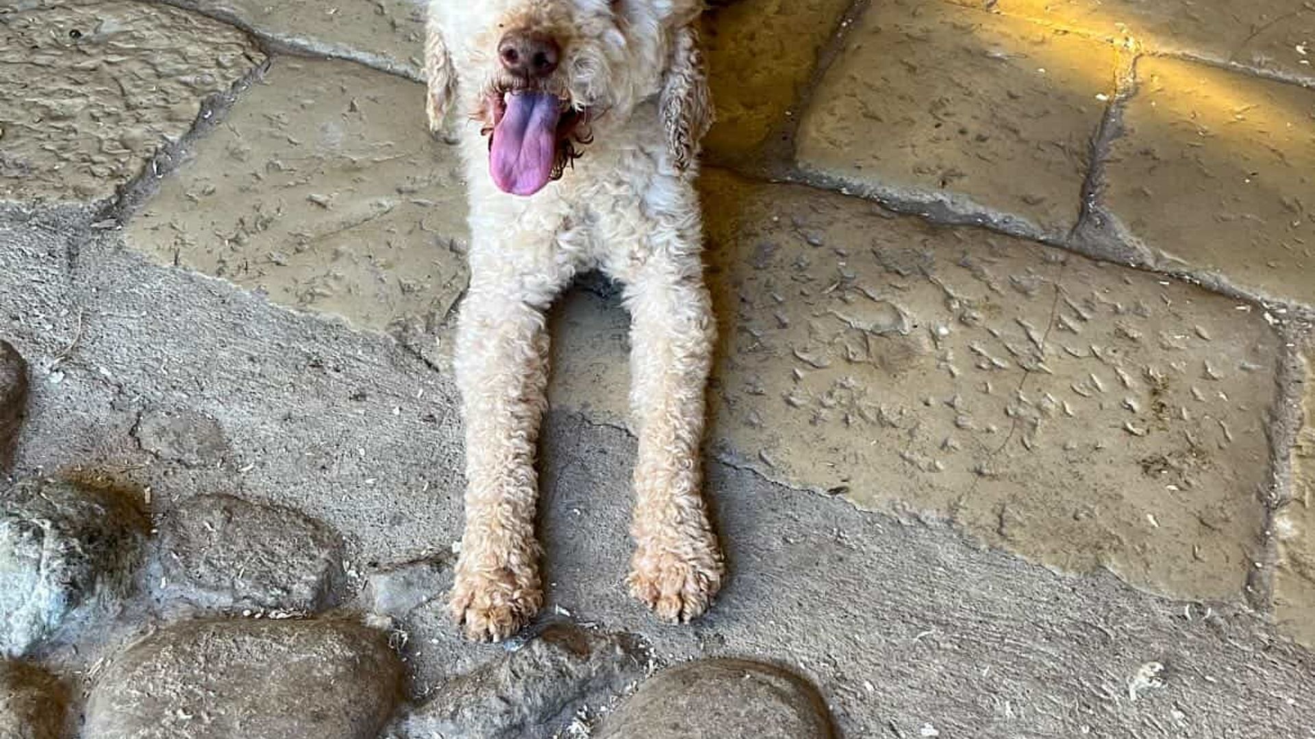 [Translate to English:] 