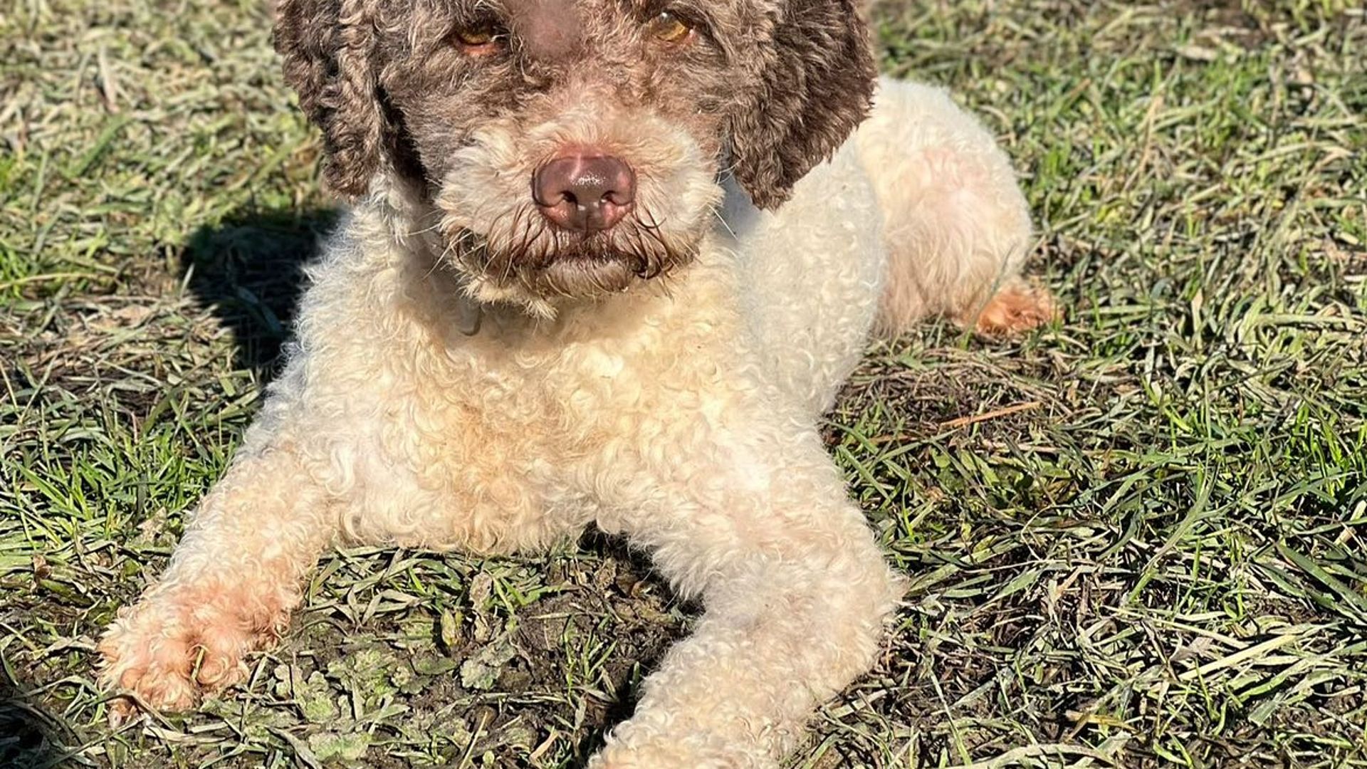 [Translate to Deutsch:] 