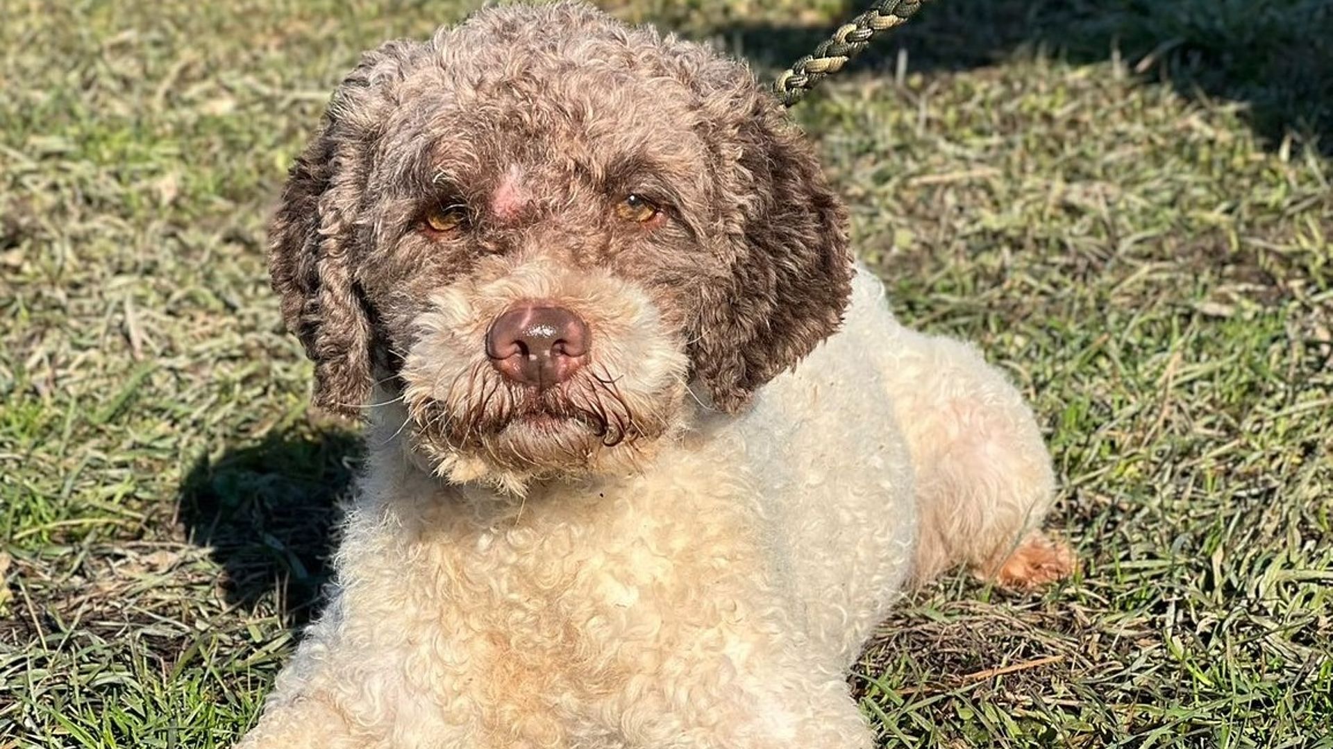 [Translate to Deutsch:] 