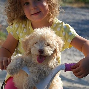 lagotto con bambino