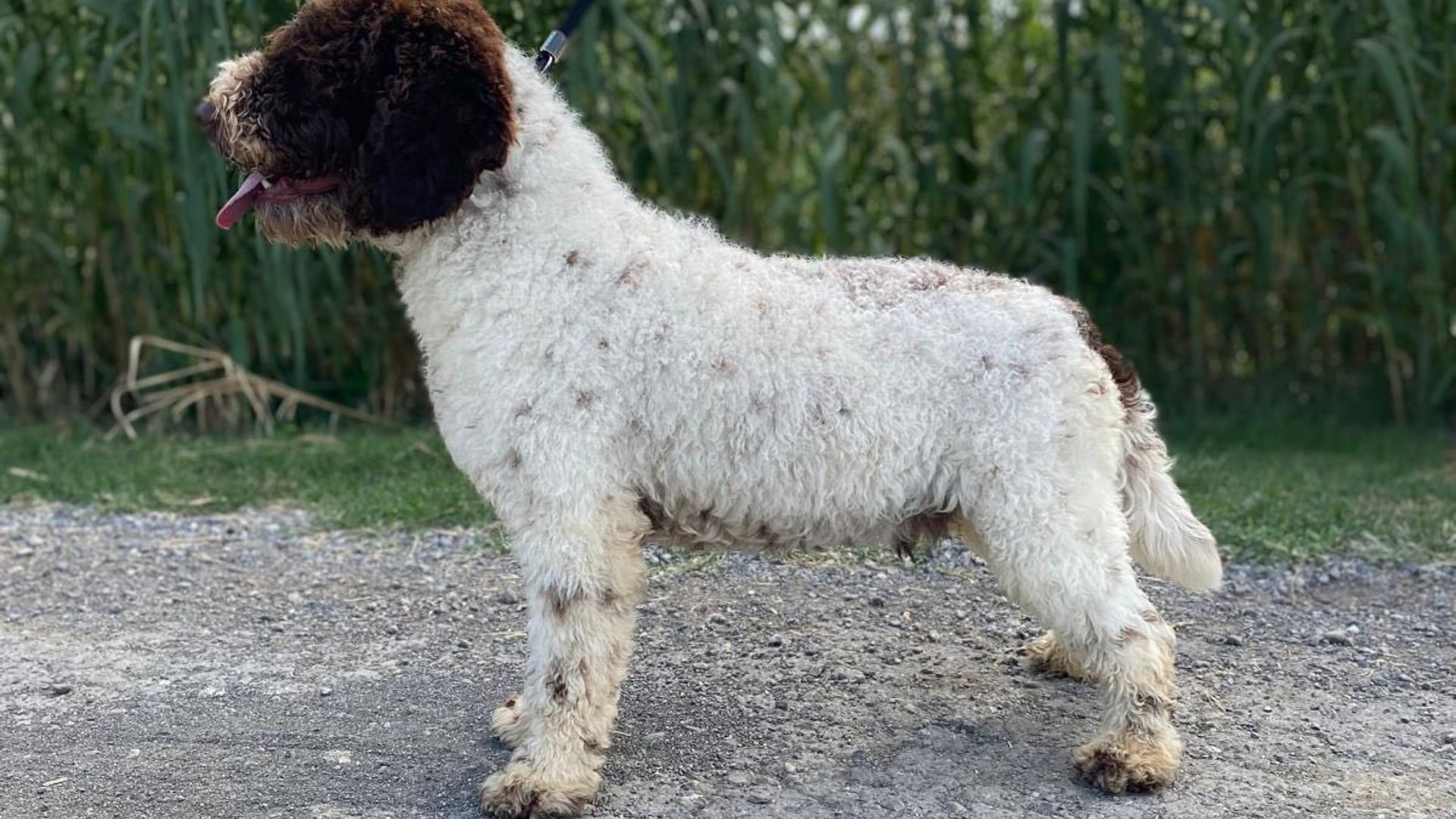 [Translate to Deutsch:] 