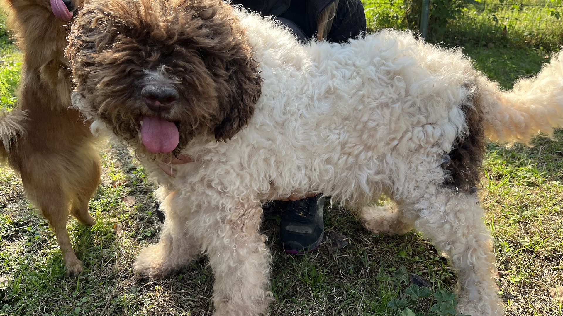 [Translate to Deutsch:] 